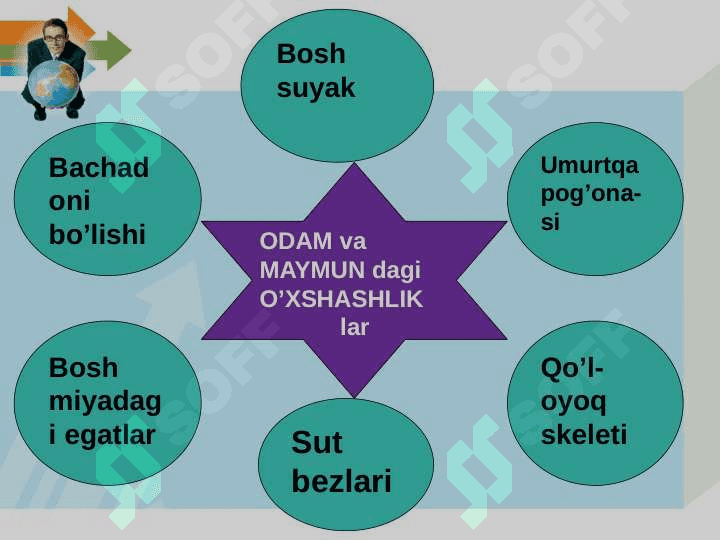 Odam evolyutsiyasi 6
