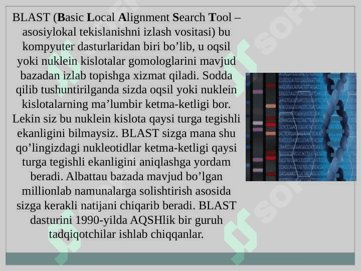 Blast dasturi ishlash mexanizmi 2