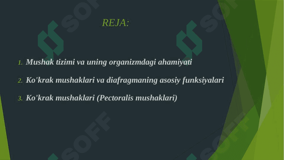 KO'KRAK MUSHAKLARI. DIAFRAGMA. ULARNING YOSHGA QARAB O'ZGARISHI. 2