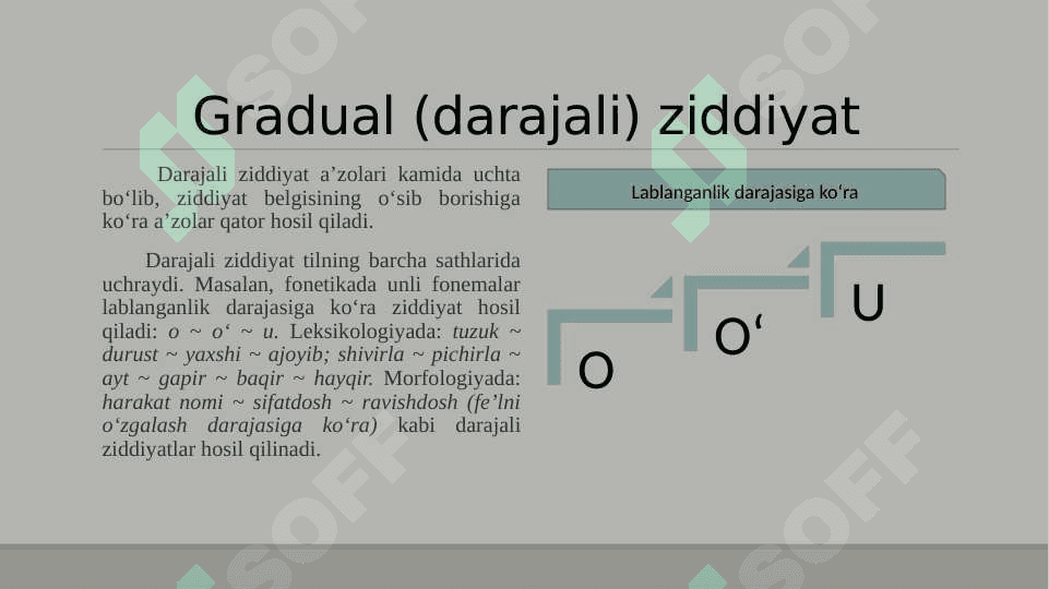 Til birliklari o‘rtasidagi lisoniy munosabatlar 8