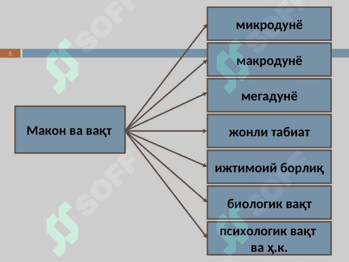 Makon va vaqt 5