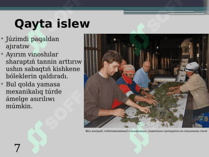 Vino alıwda juzimdi qayta islew 7