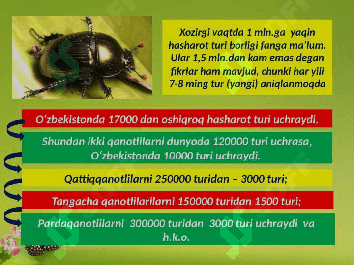 To‘liq o‘zgarish bilan rivojlanuvchi hasharotlar 4