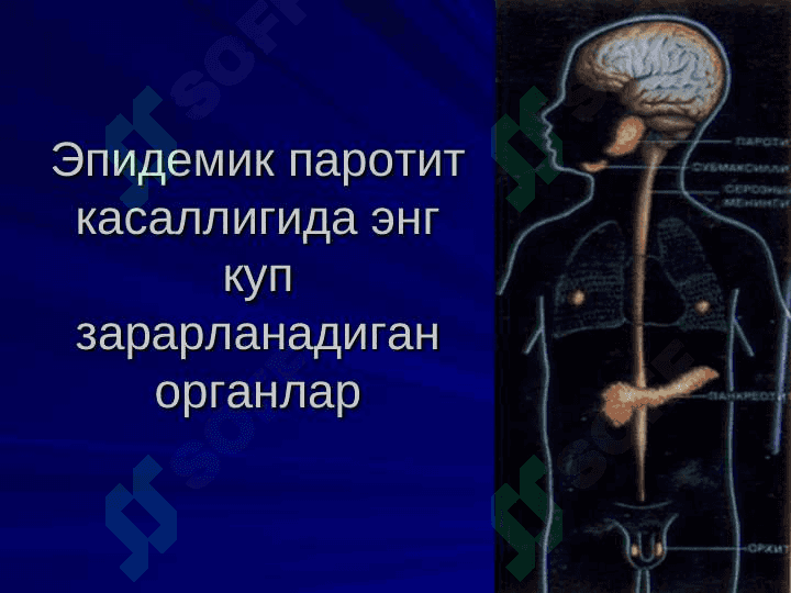 Epedimik parotit 8