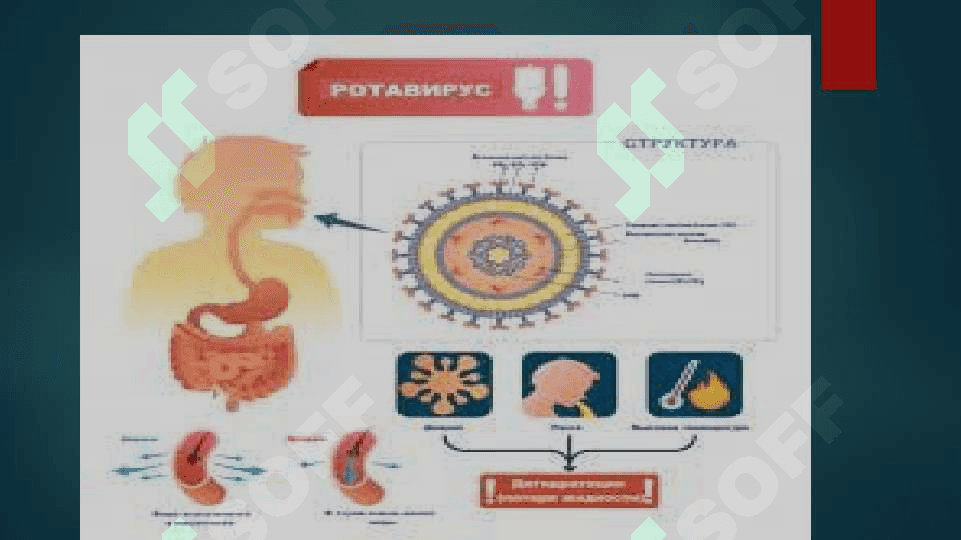Rotavirus 4
