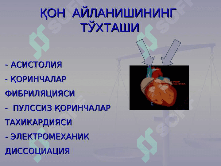Shoshilinch holatlarda tez tibbiy yordam koʻrsatish 7