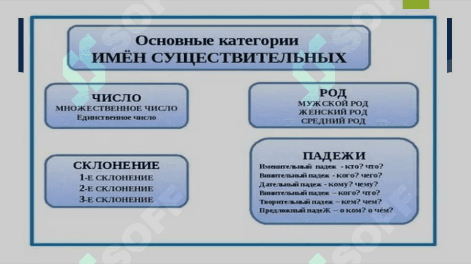 Имя существительное 3