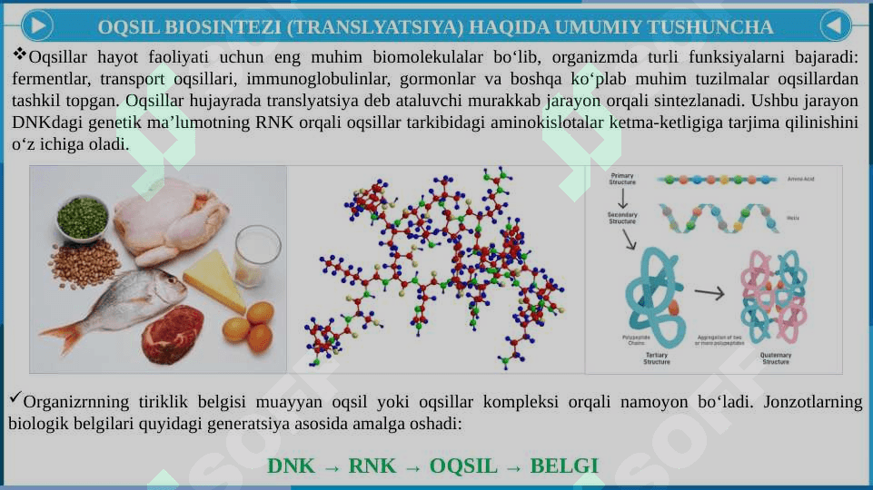 Oqsil biosintezi. Ingibitorlar 3
