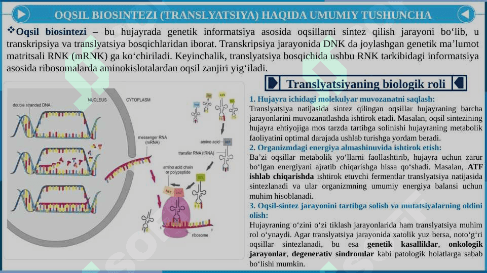 Oqsil biosintezi. Ingibitorlar 4