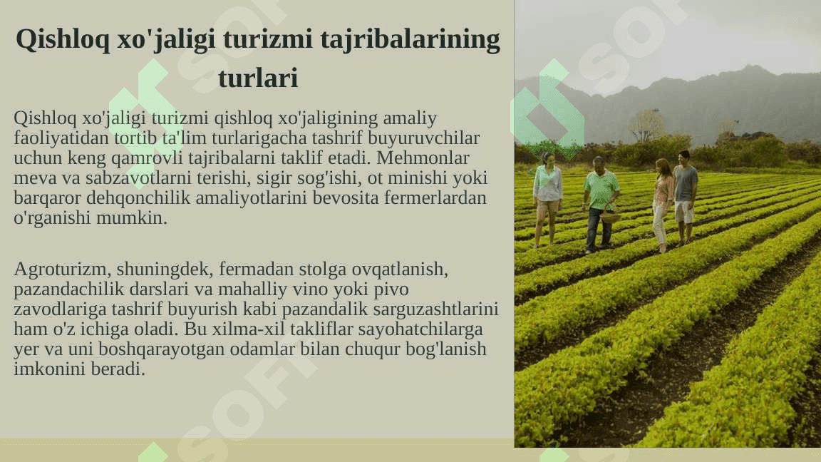 mintaqalarda qishloq turizmi 4
