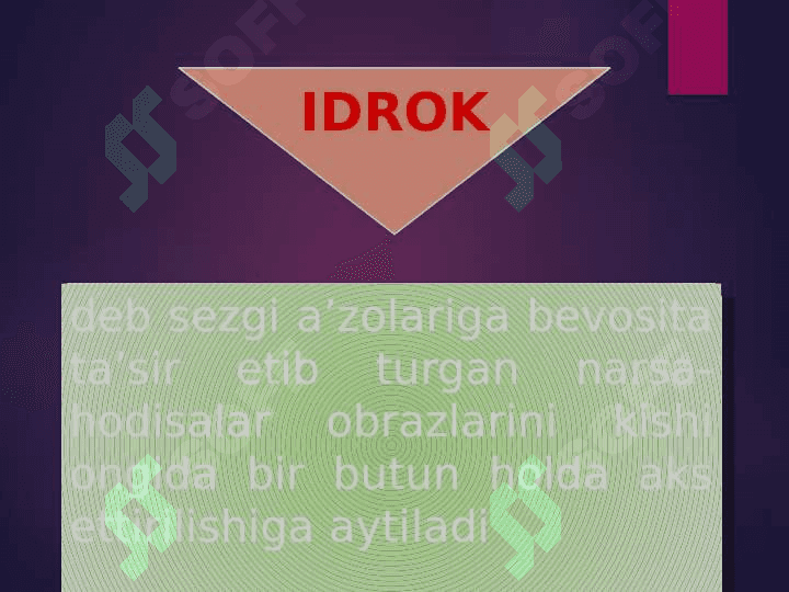 IDROK 4