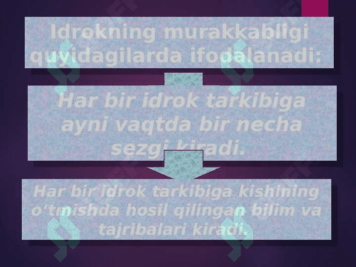 IDROK 7