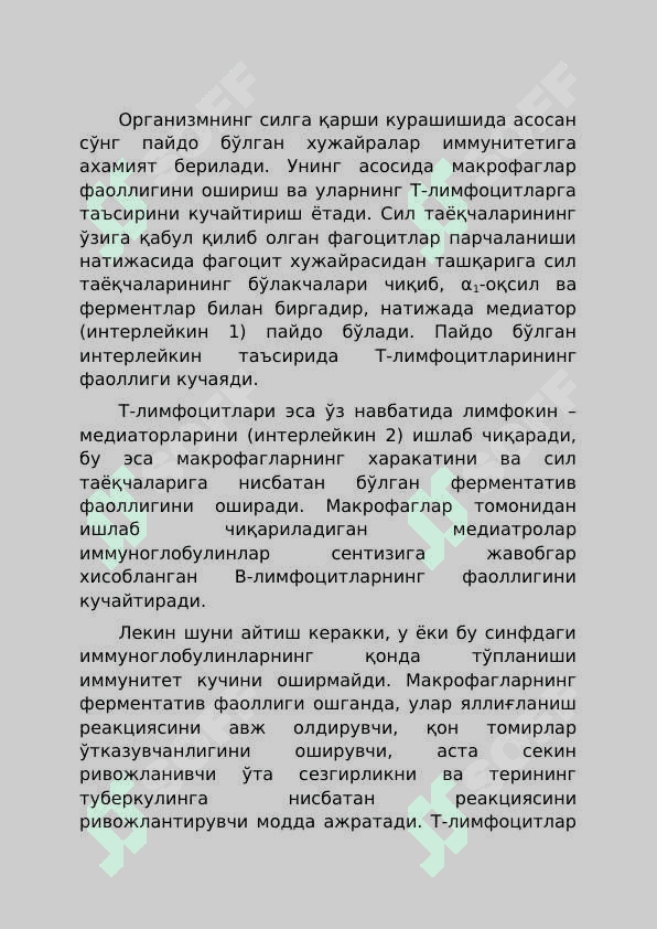 ТУБЕРКУЛЕЗ ПАТОГЕНЕЗИ 3