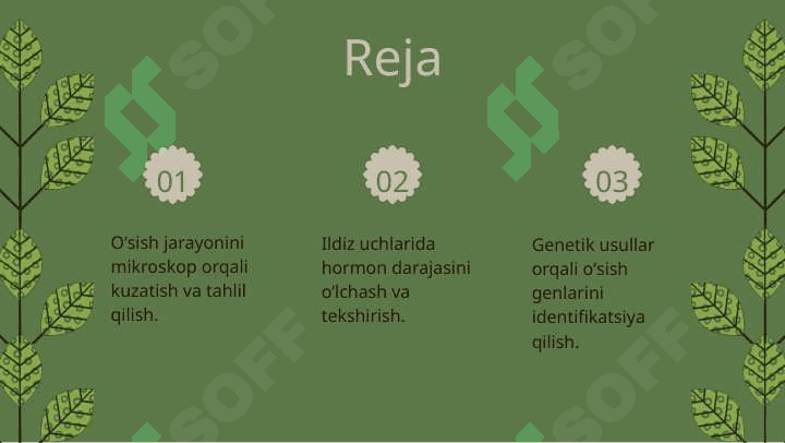 Ildizning o'sish qismini aniqlash usulli 2