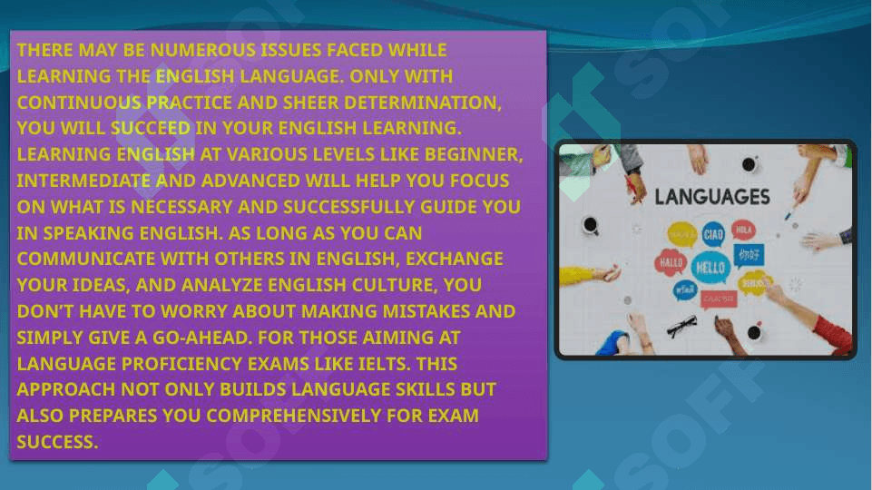Issues in language learning 6