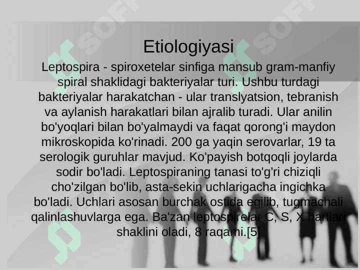 Leptospirozlar 4