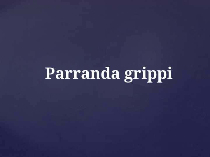 Parranda grippi