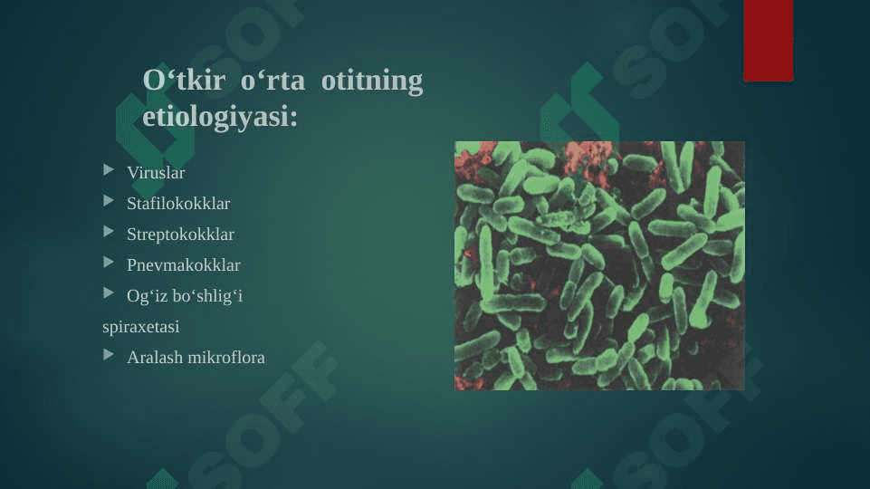 O‘rta quloqning  o‘tkir va surunkali kasalliklari 5