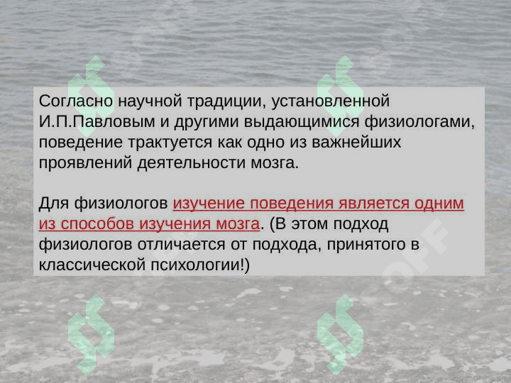 Физиология высшей нервной деятельности 3