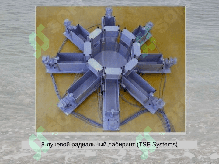 Физиология высшей нервной деятельности 8