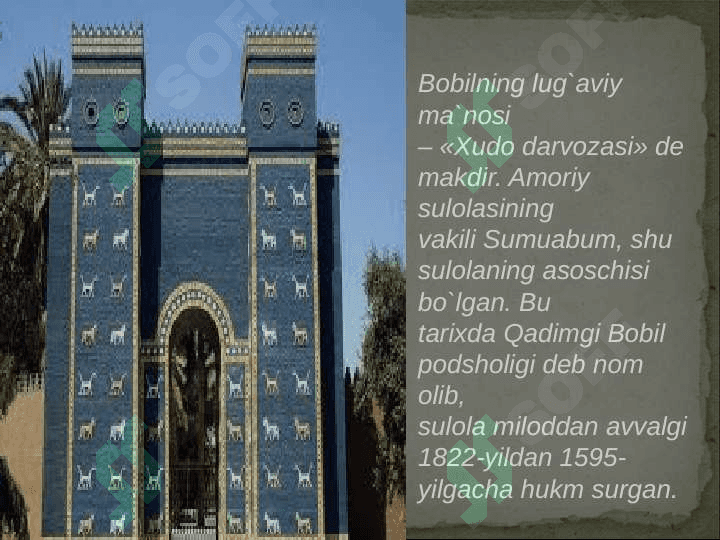 Bobil podsholigi 7
