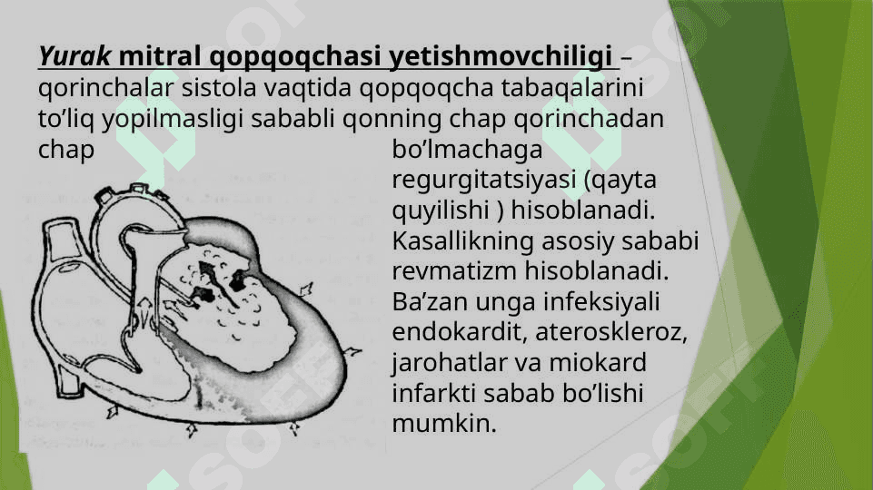 Mirtal qopqoqcha yetishmovchiligi 2