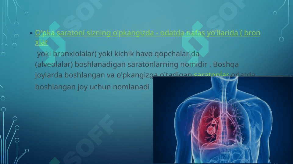 o‘pka raki 2
