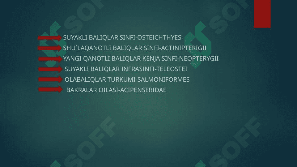 O`ZBEKISTON SUV HAVZALARIDA TARQALGAN OLABALIQ TURLARI 2
