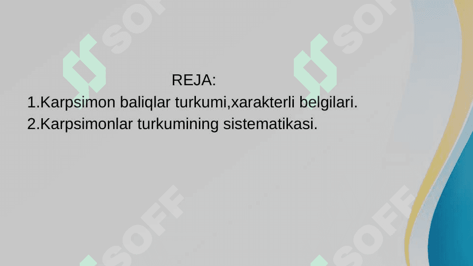 Karpsimon baliqlar sistematikasi 2