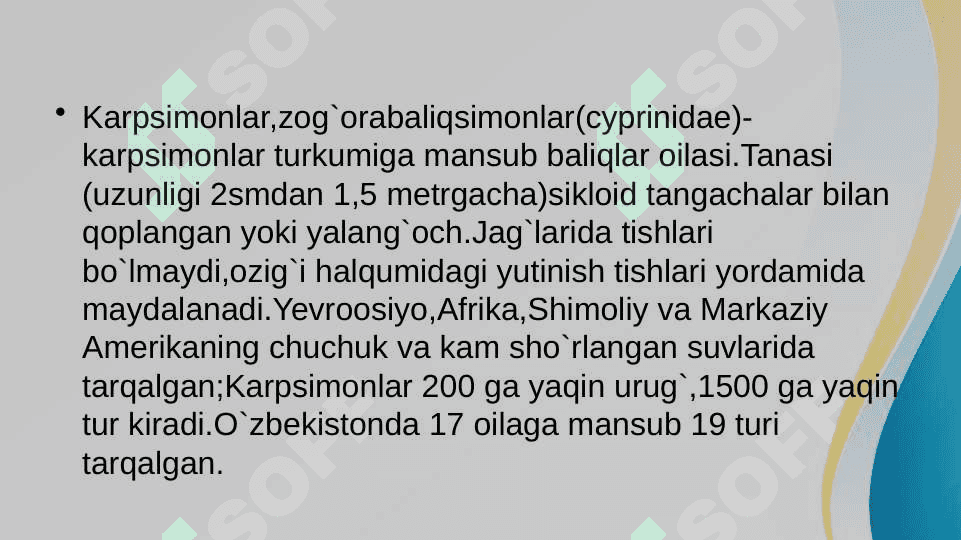 Karpsimon baliqlar sistematikasi 3