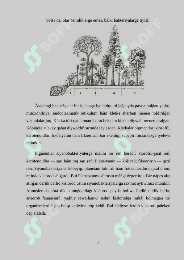 Ósimlikler evolyutsiyası 5