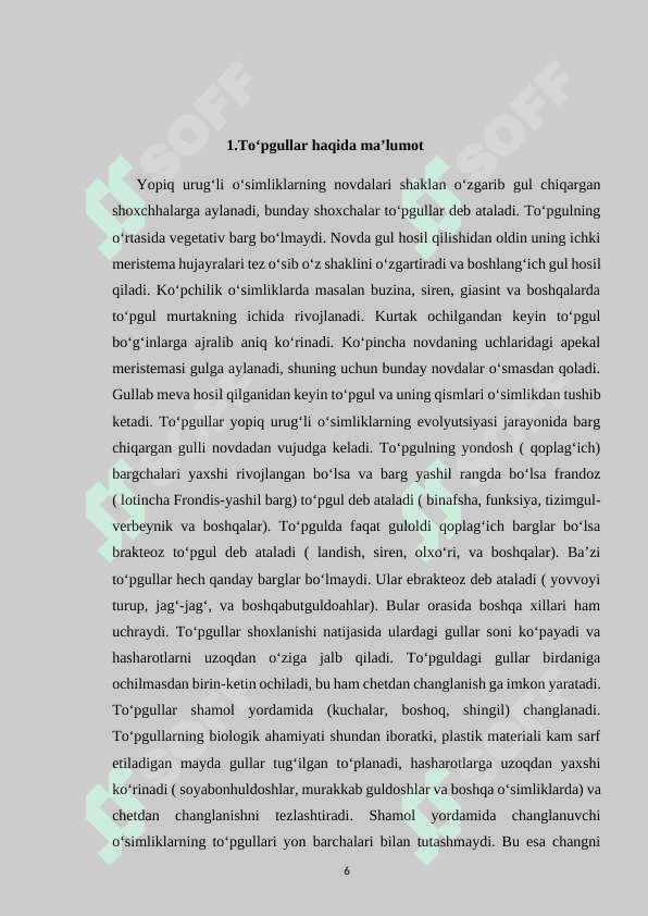 Toʻpgullar va ularning klassifikatsiyasi 6