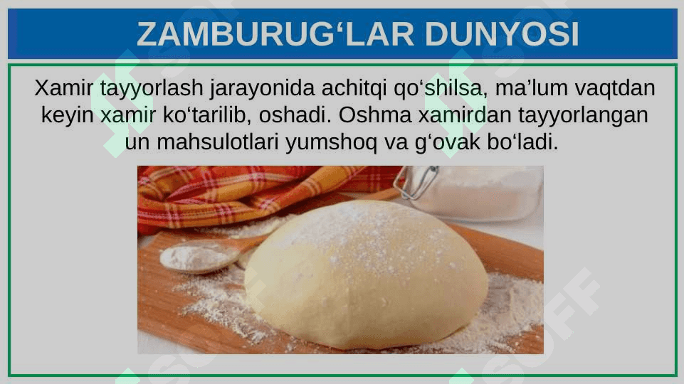 ZAMBURUG‘LAR DUNYOSI 7