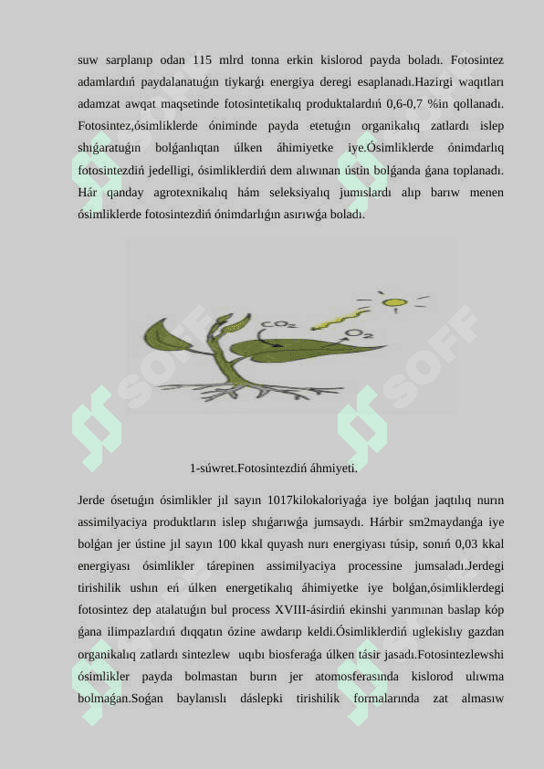 Fotosintezdiń jaqtılıq basqıshı 6
