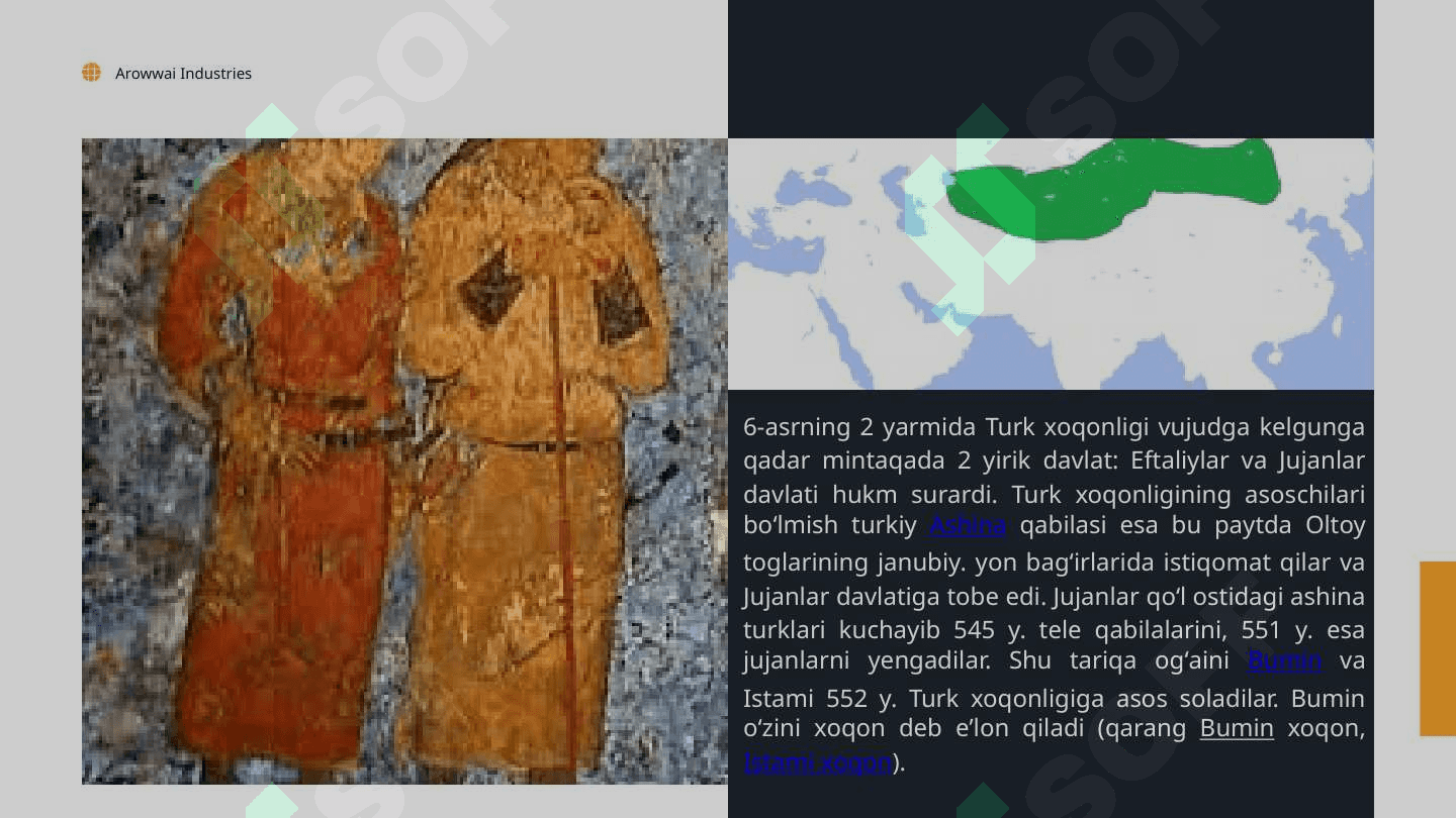 TURK XOQONLIGINI TASHKIL TOPISHI 3