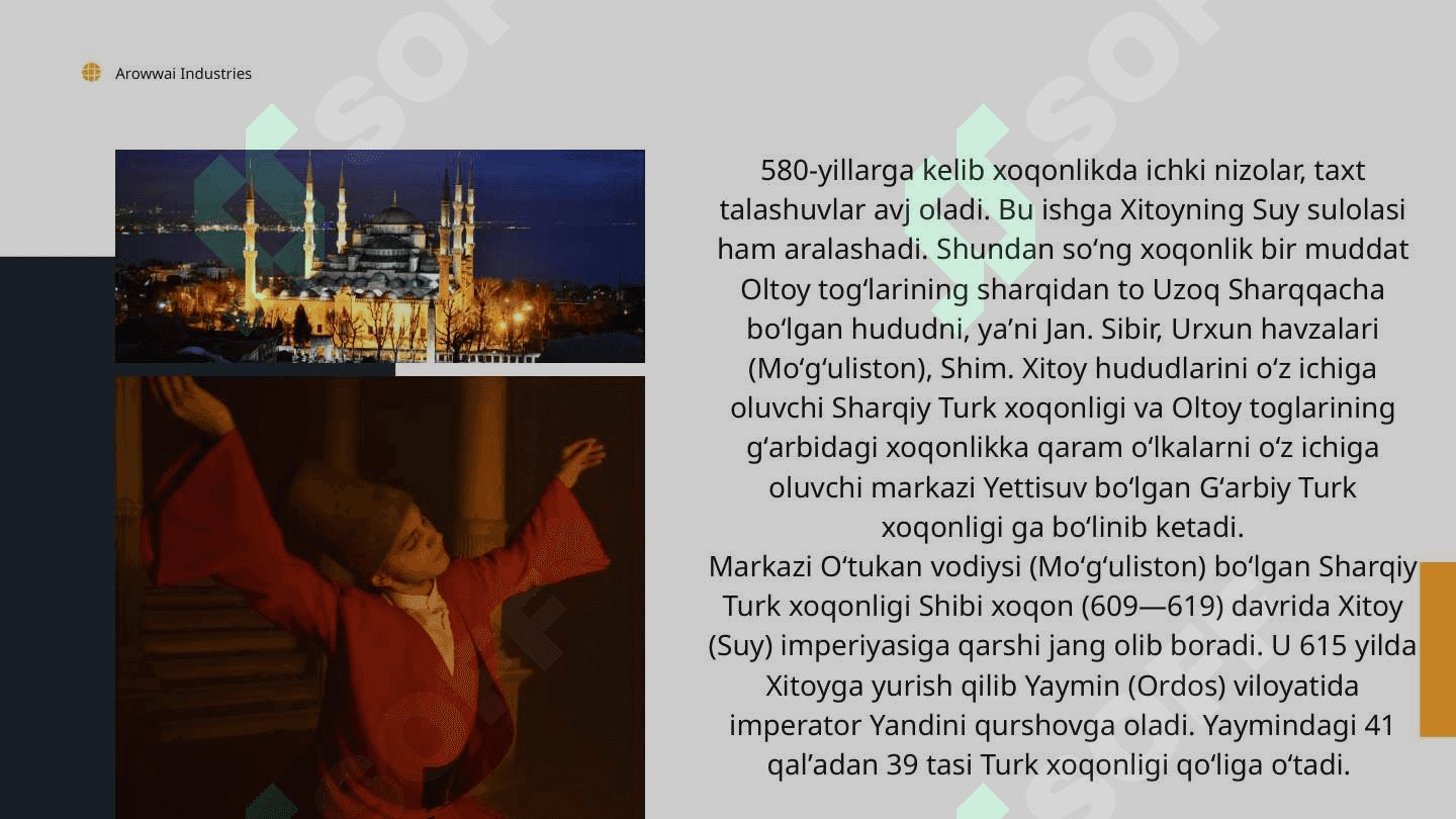 TURK XOQONLIGINI TASHKIL TOPISHI 7