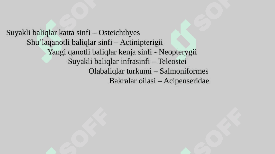 Olabaliqlar oilasi tavsifi 3