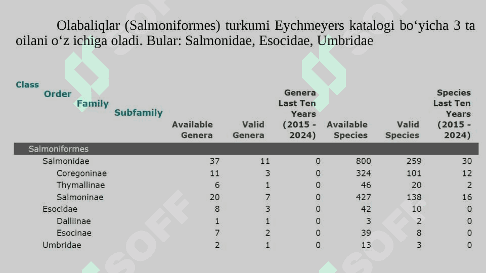 Olabaliqlar oilasi tavsifi 4