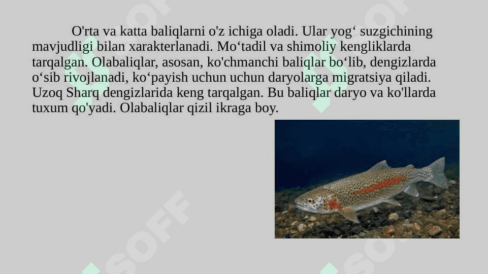 Olabaliqlar oilasi tavsifi 5