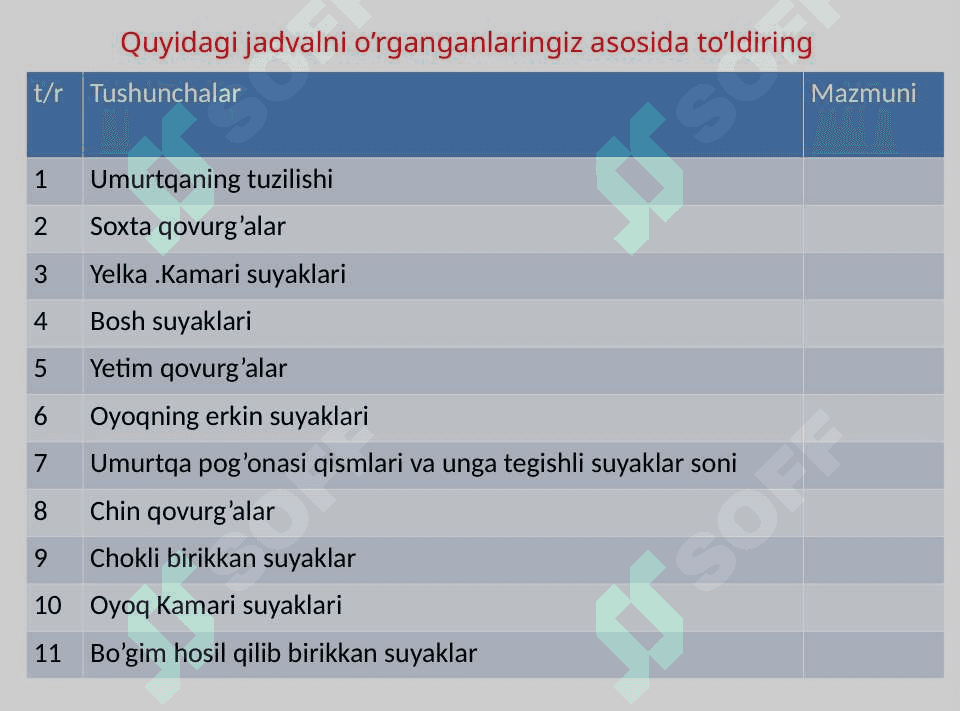 Tana skeleti tuzilishi 3