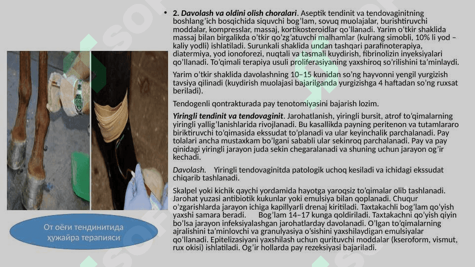 XIZMAT HAYVONLARINING JARROHLIK KASALLIKLARI 4