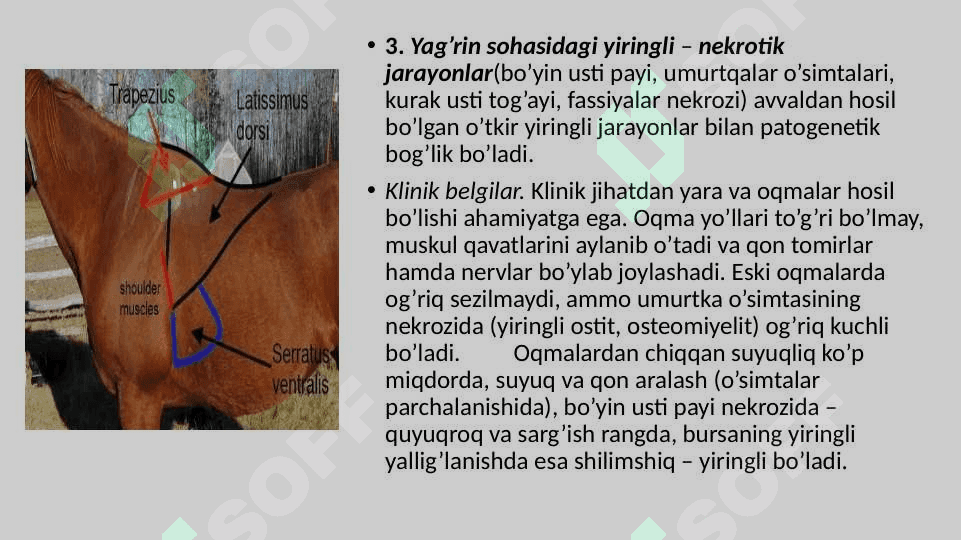 XIZMAT HAYVONLARINING JARROHLIK KASALLIKLARI 5