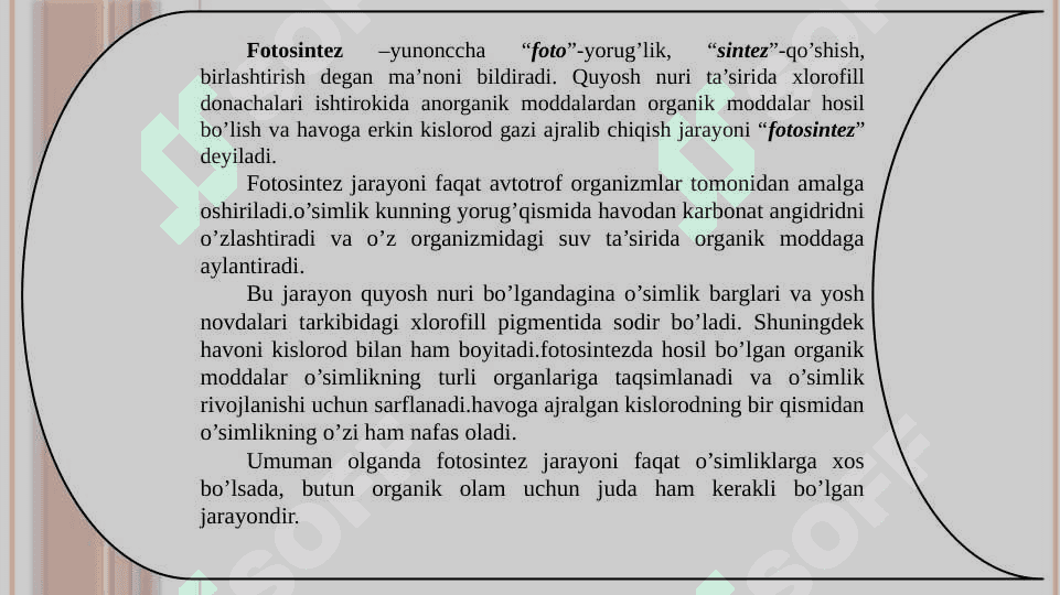 Fotosintezning tabiatdagi tutgan o’rni 4