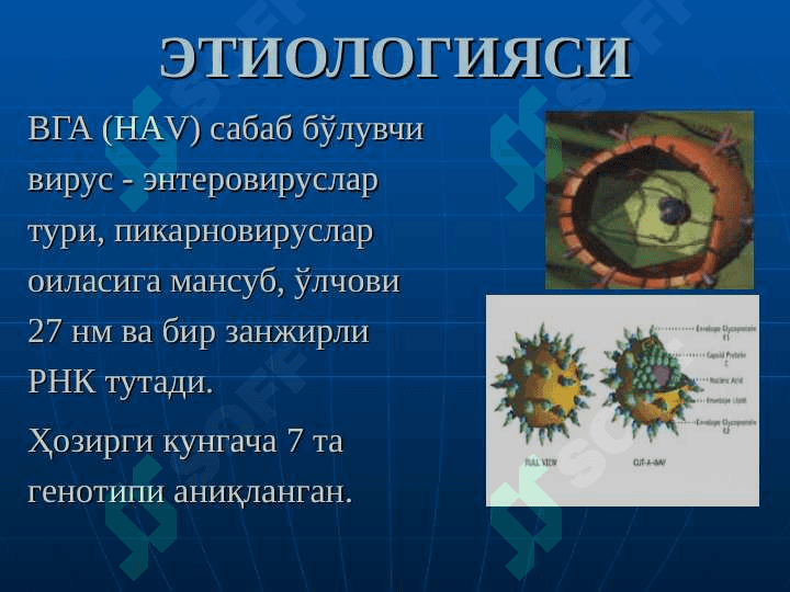 Bирусли гепатитлар 5