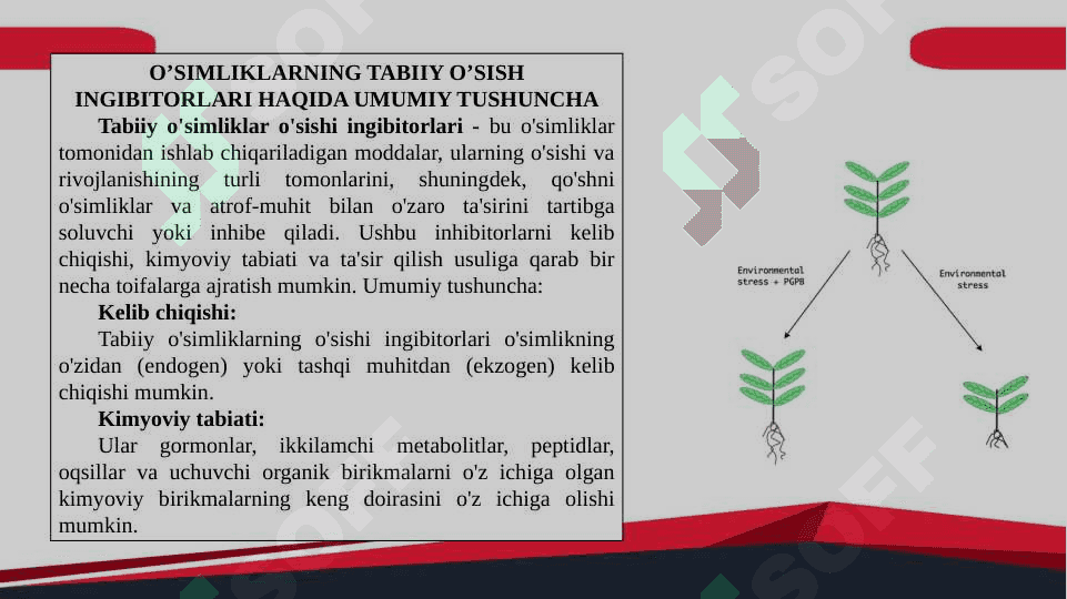 Tabiiy o'sish ingibitorlari va ularning fiziologik roli 3