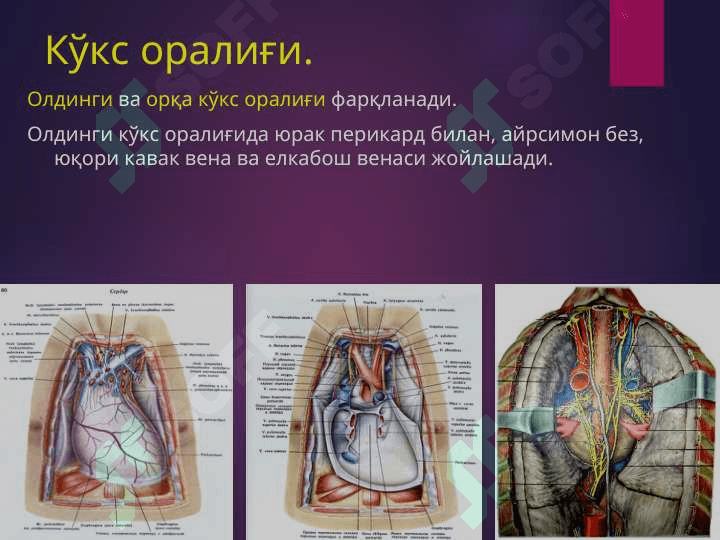БЕЛ СОХАСИ ЖАРРОҲЛИК АНАТОМИЯСИ.   ОПЕРАЦИЯЛАР. 7