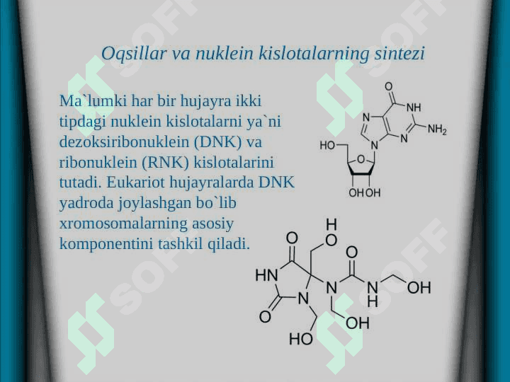 O'simlik hujayrasining tuzilishi va ontogenezi TAQDIMOT 3