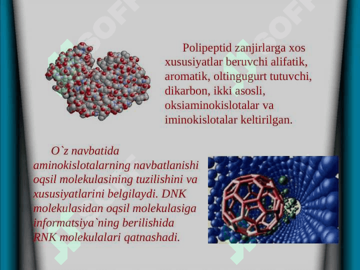 O'simlik hujayrasining tuzilishi va ontogenezi TAQDIMOT 4