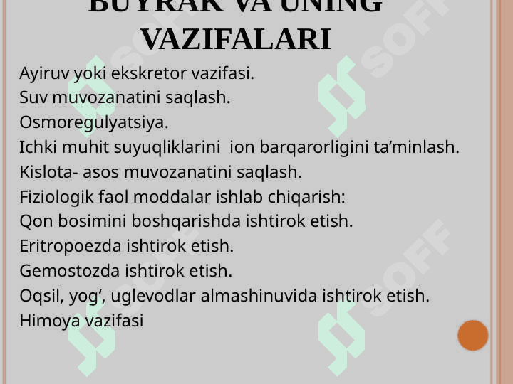 Ayiruv a'zolarining fiziologiyasi 7