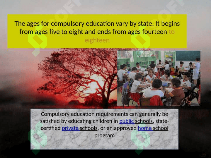 Education Uzbek and American 4